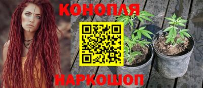 гашишное масло Славгород
