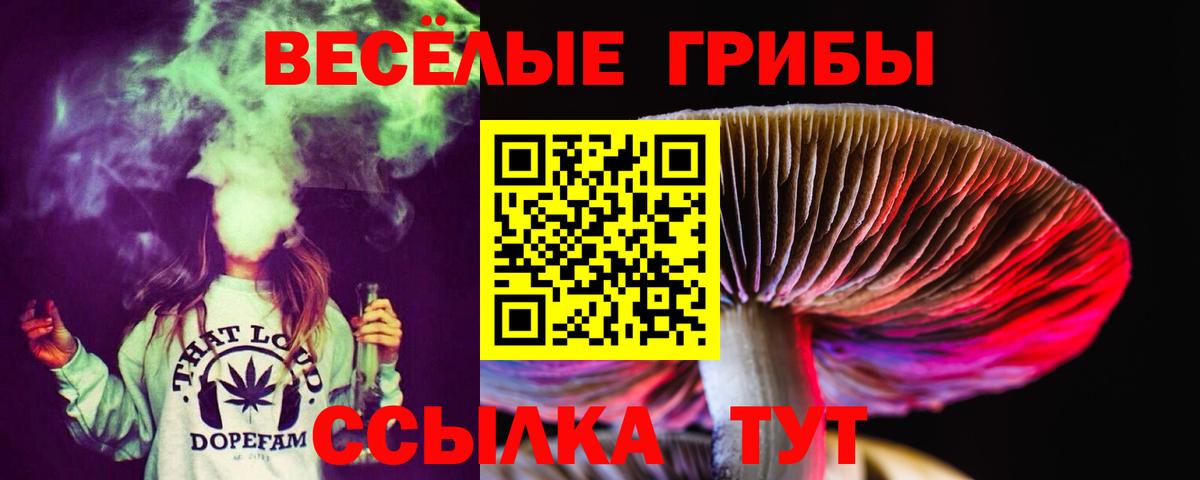 Сарапул  Галлюциногенные грибы Magic Shrooms  дарнет шоп  Вход с VPN 